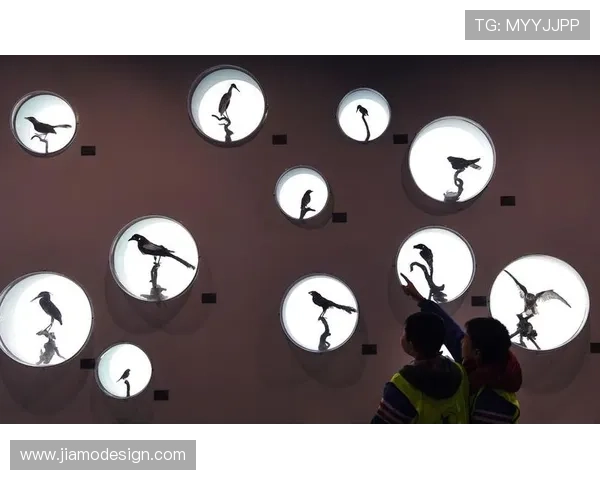 鹈鹕海岸湿地生态秘境探寻之旅程 鹈鹕海岸湿地生态秘境探寻之旅程